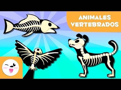 ANIMALES VERTEBRADOS para niños - Mamíferos, aves, reptiles, peces y anfibios