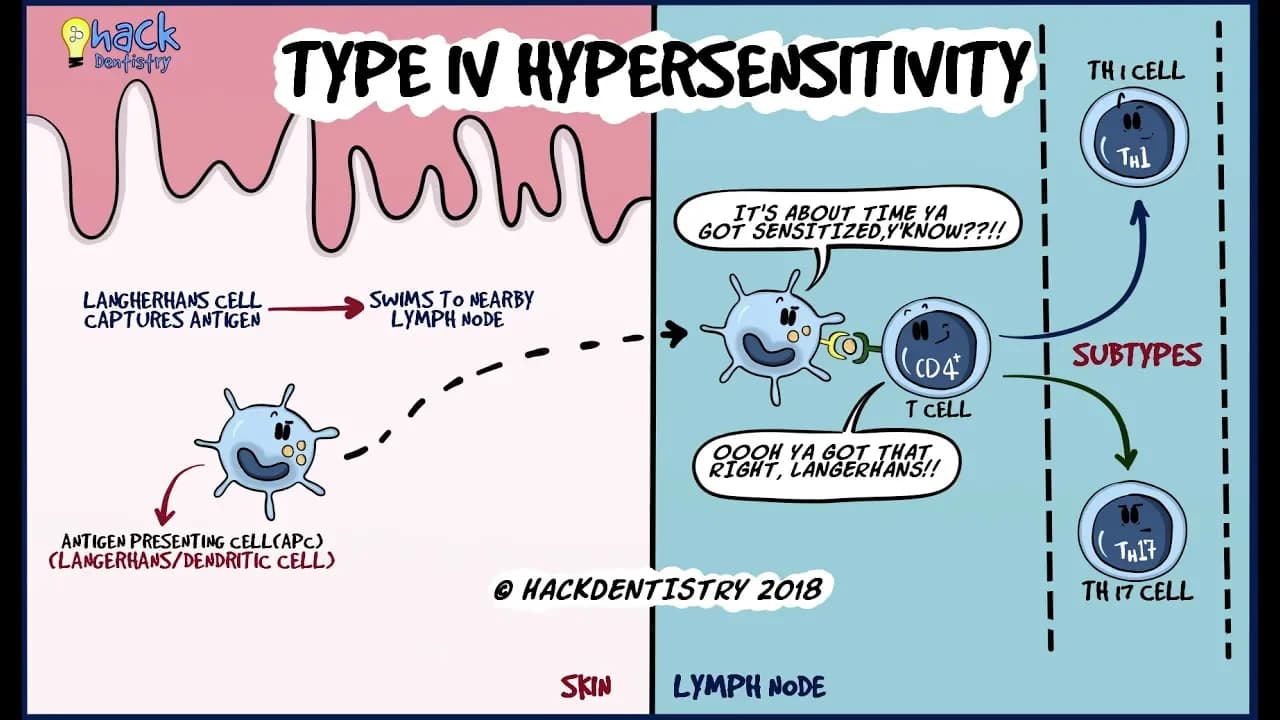 Type IV Hypersensitivity - Delayed type hypersensitivity